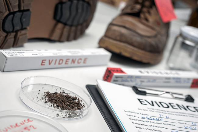 The Role of Evidence in Criminal Trials